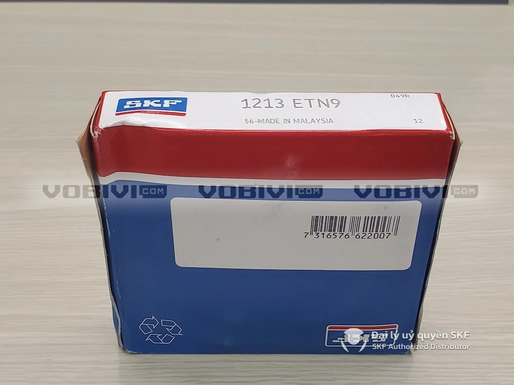 Vòng bi SKF 1213 ETN9 chính hãng