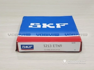 Vòng bi SKF 1213 ETN9