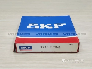 Vòng bi SKF 1213 EKTN9