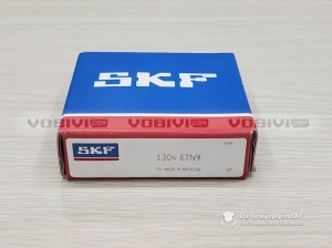 Vòng bi SKF 1304 ETN9