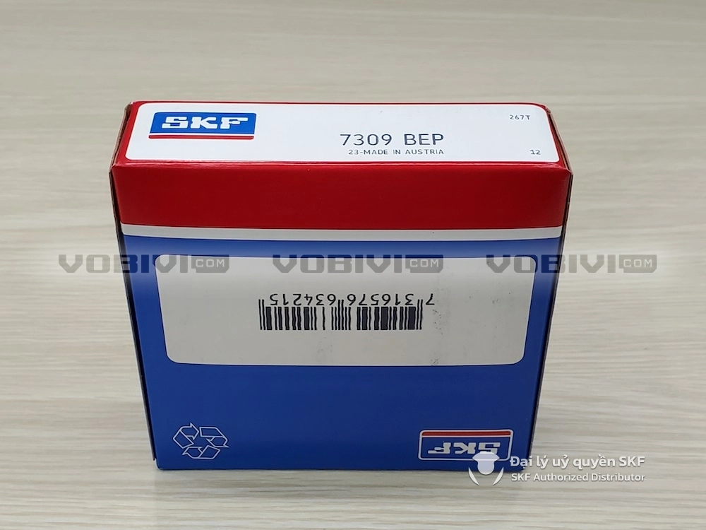 7309 BEP