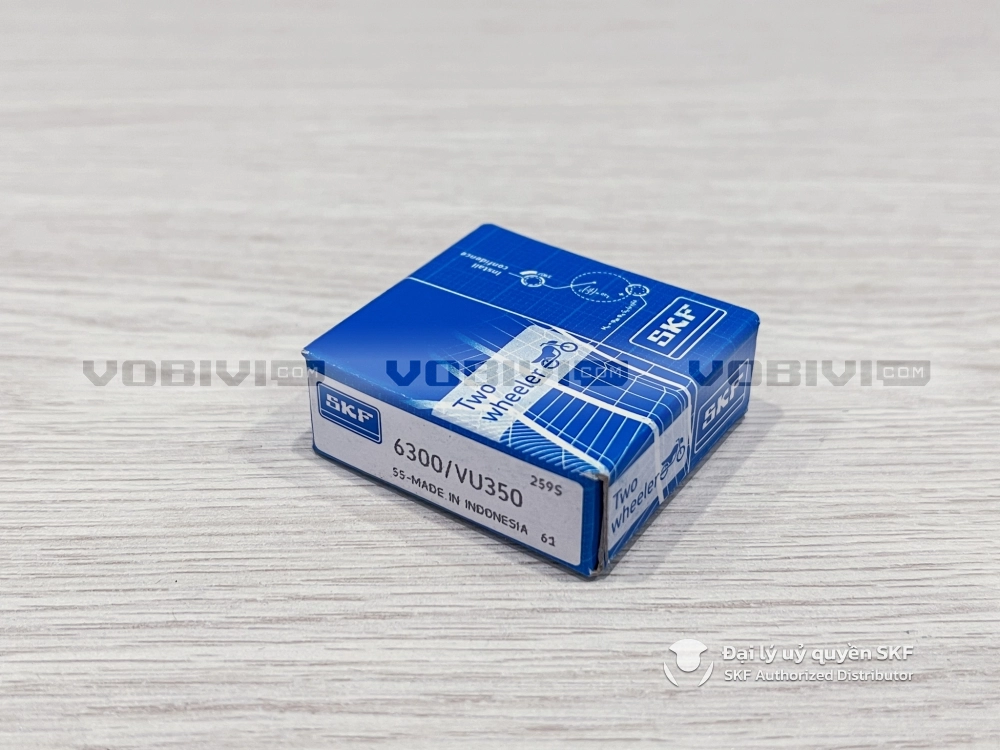 Vòng bi SKF 6300/VU350