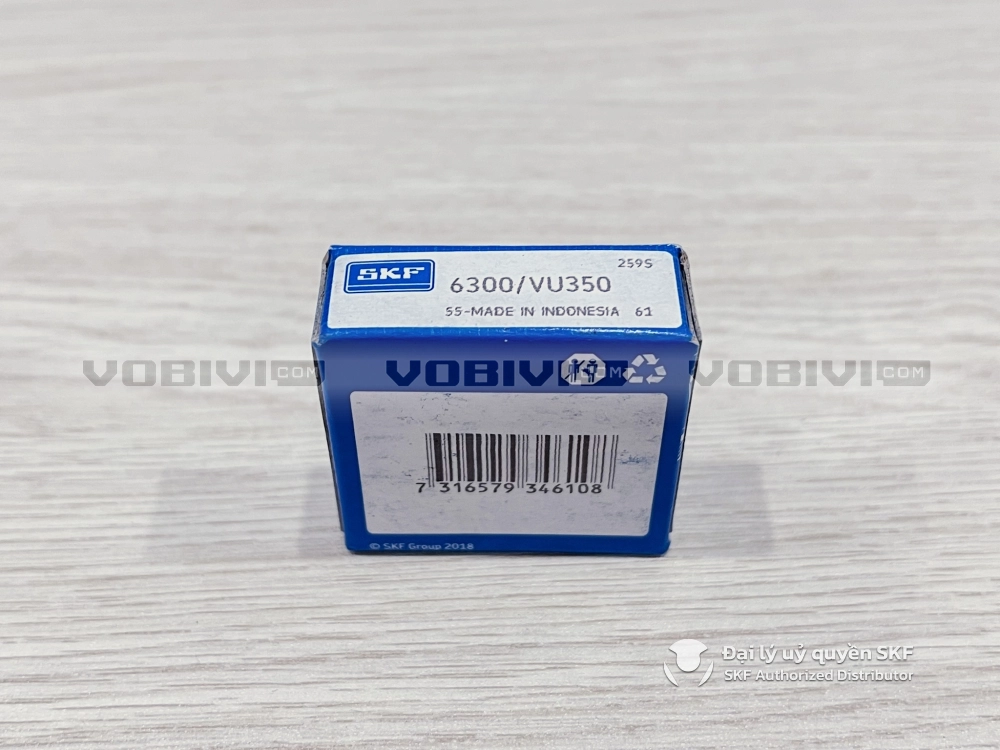 Vòng bi SKF 6300/VU350