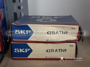 Vòng bi SKF 4213 ATN9
