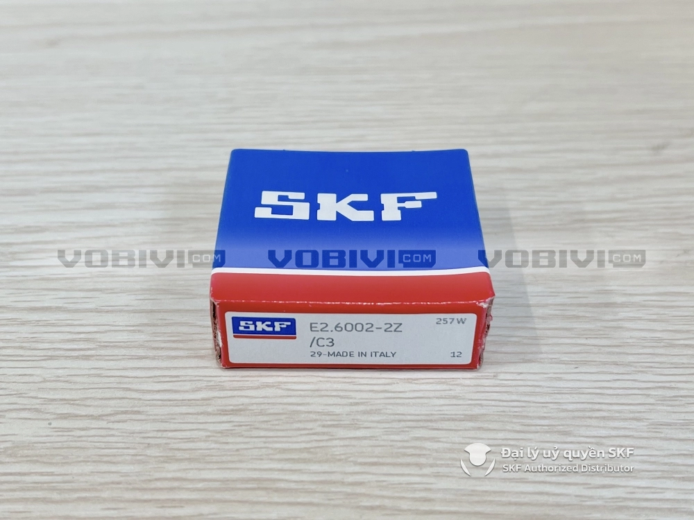 Vòng bi E2.6002-2Z/C3 chính hãng SKF