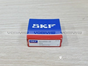 Vòng bi SKF E2.6002-2Z/C3