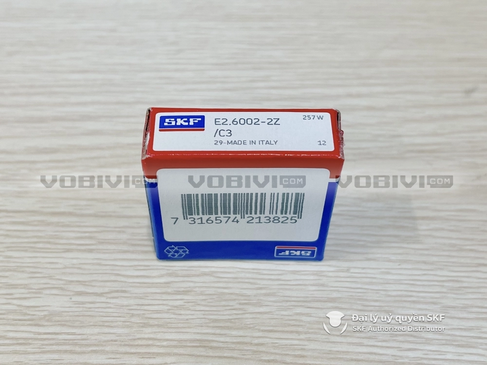 Vòng bi E2.6002-2Z/C3 chính hãng SKF