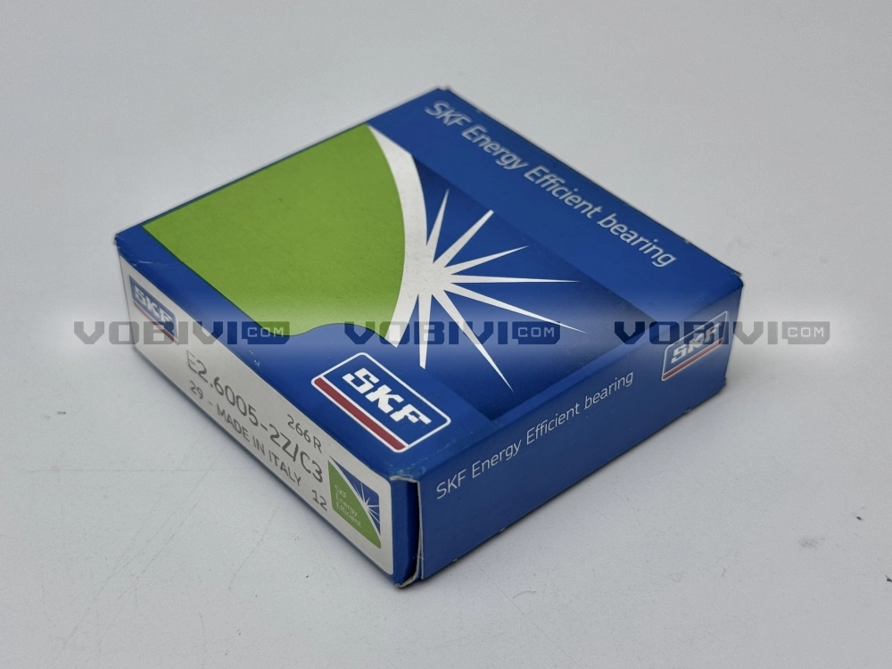 Vòng bi E2.6005-2Z/C3 chính hãng