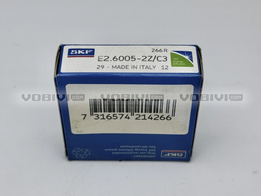 Vòng bi E2.6005-2Z/C3 chính hãng