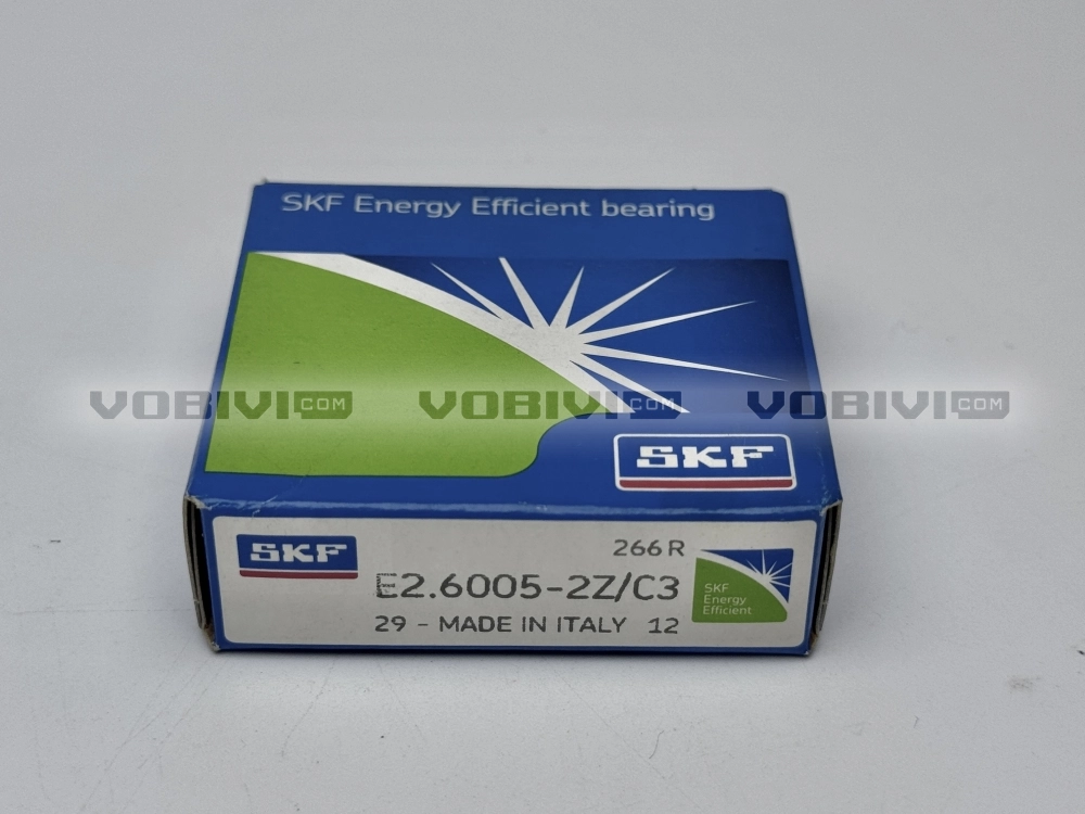 Vòng bi E2.6005-2Z/C3 chính hãng