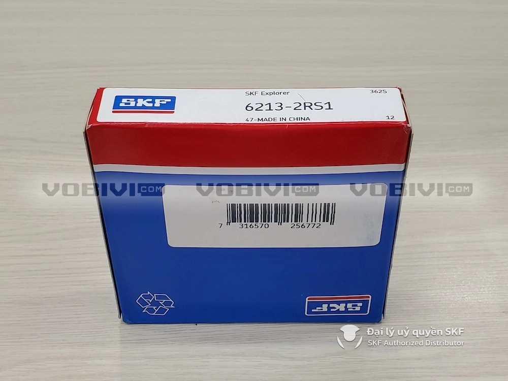 Vòng bi SKF 6213-2RS1