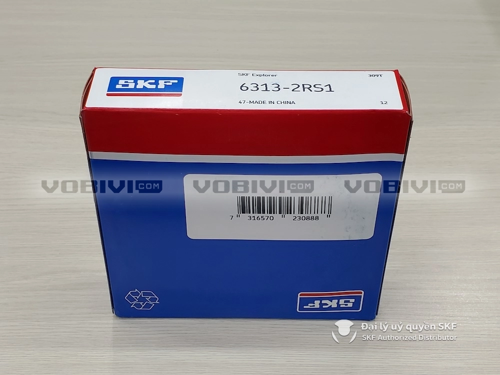 Vòng bi SKF 6313-2RS1 chính hãng