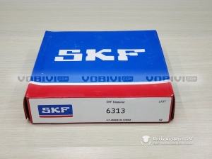 Vòng bi SKF 6313 chính hãng Vòng bi SKF 6313