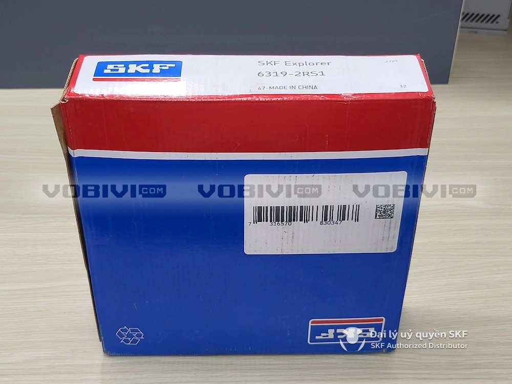 Vòng bi SKF 6319-2RS1 chính hãng