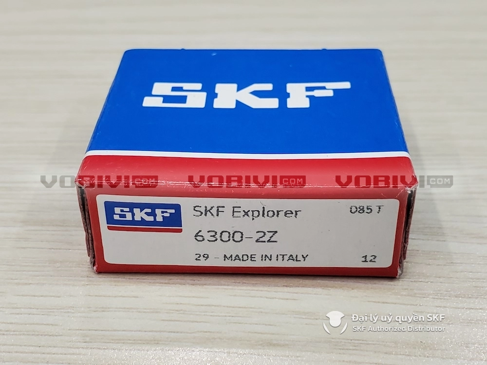 Vòng bi SKF 6300-2Z chính hãng