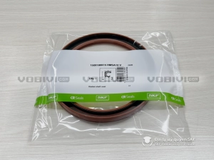 Phớt SKF 150X180X15 HMSA10 V