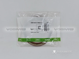 Phớt SKF 100X125X12 HMSA10 V