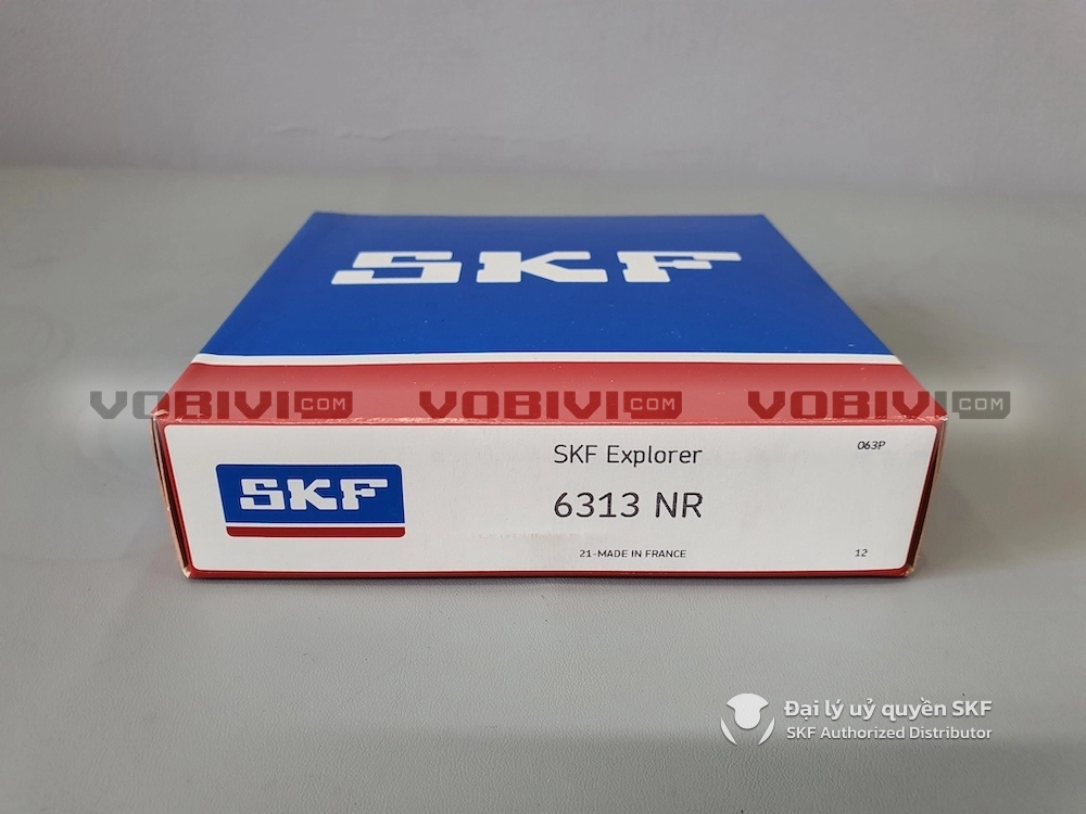 Vòng bi SKF 6313 NR