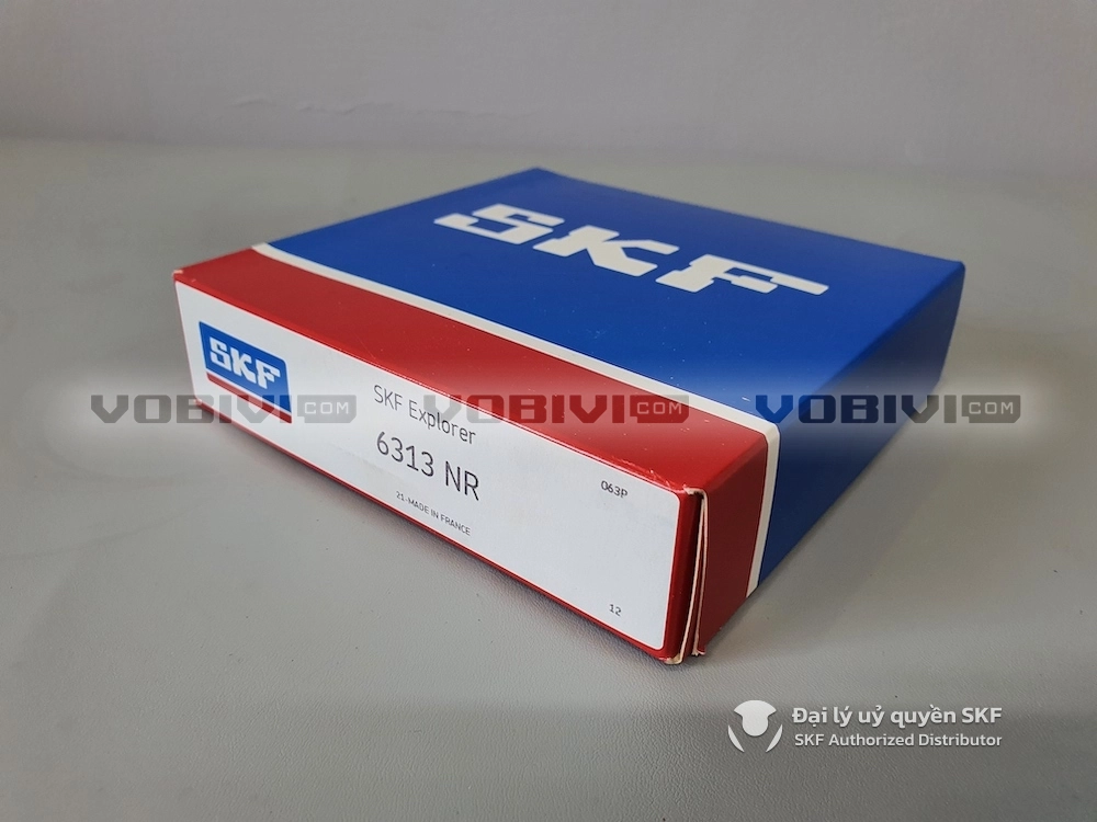 Vòng bi SKF 6313 NR