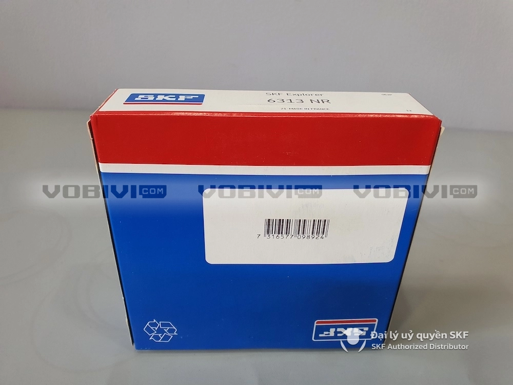Vòng bi SKF 6313 NR
