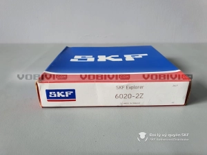 Vòng bi SKF 6020-2Z