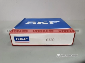 Vòng bi SKF 6320
