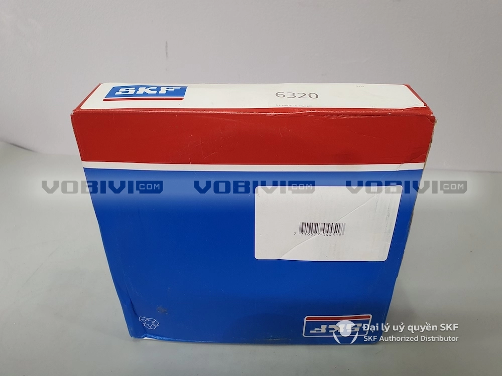 Vòng bi SKF 6320 chính hãng