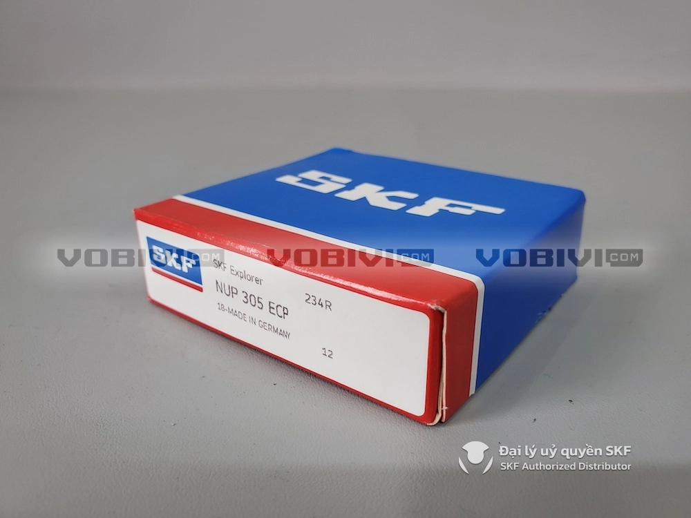 Vòng bi SKF NUP 305 ECP chính hãng