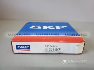 Vòng bi SKF NJ 219 ECP chính hãng Vòng bi SKF NJ 219 ECP