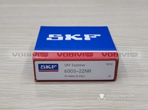 Vòng bi SKF 6005-2ZNR
