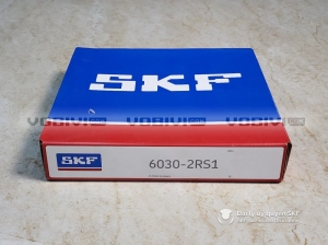 Vòng bi SKF 6030-2RS1