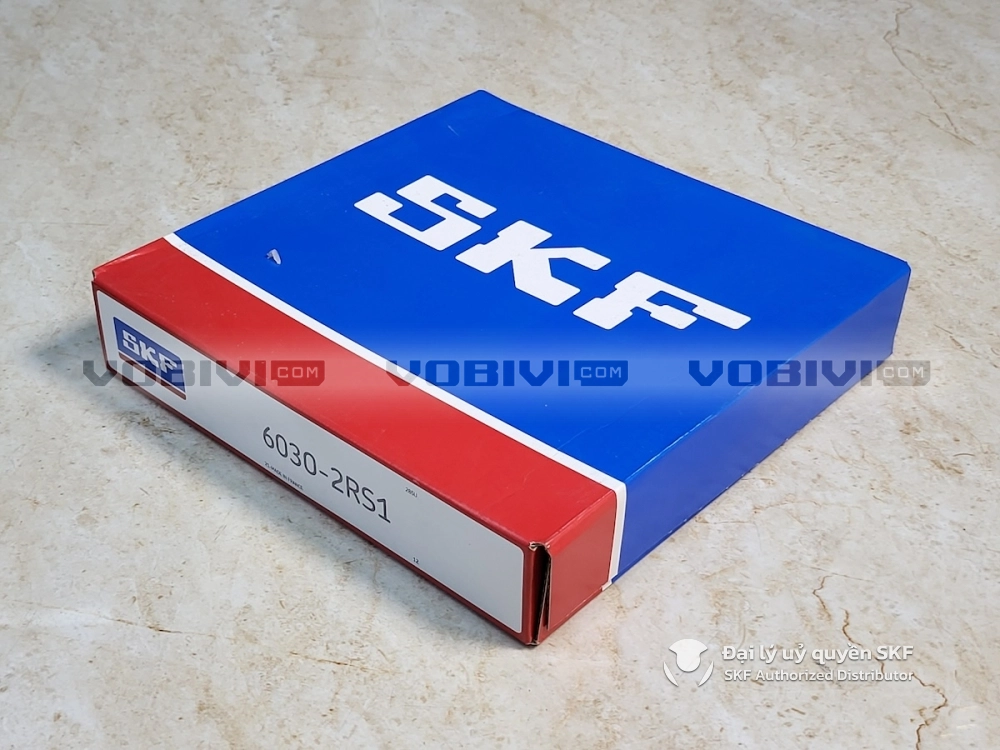 Vòng bi SKF 6030-2RS1 chính hãng