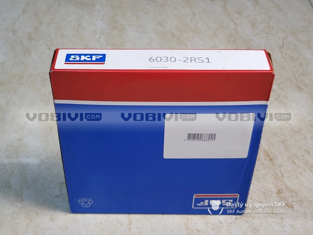 Vòng bi SKF 6030-2RS1 chính hãng