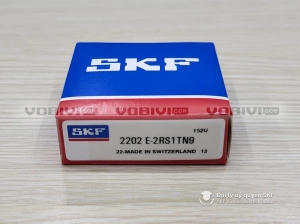 Vòng bi SKF 2202 E-2RS1TN9