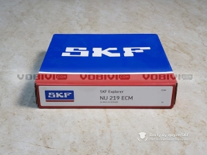 Vòng bi SKF NU 219 ECM chính hãng Vòng bi SKF NU 219 ECM