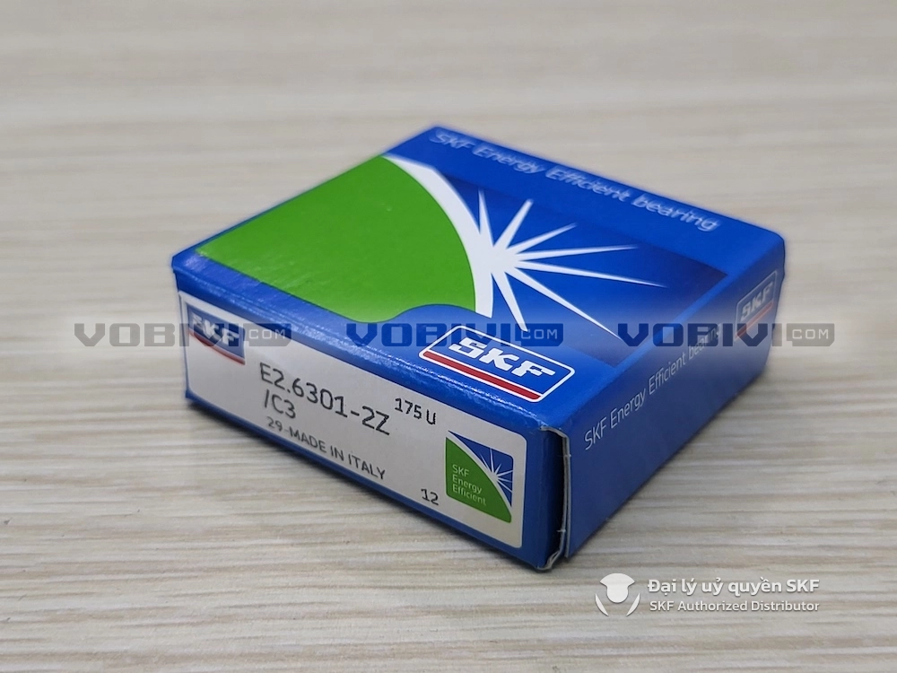 E2.6301-2Z/C3 chính hãng SKF