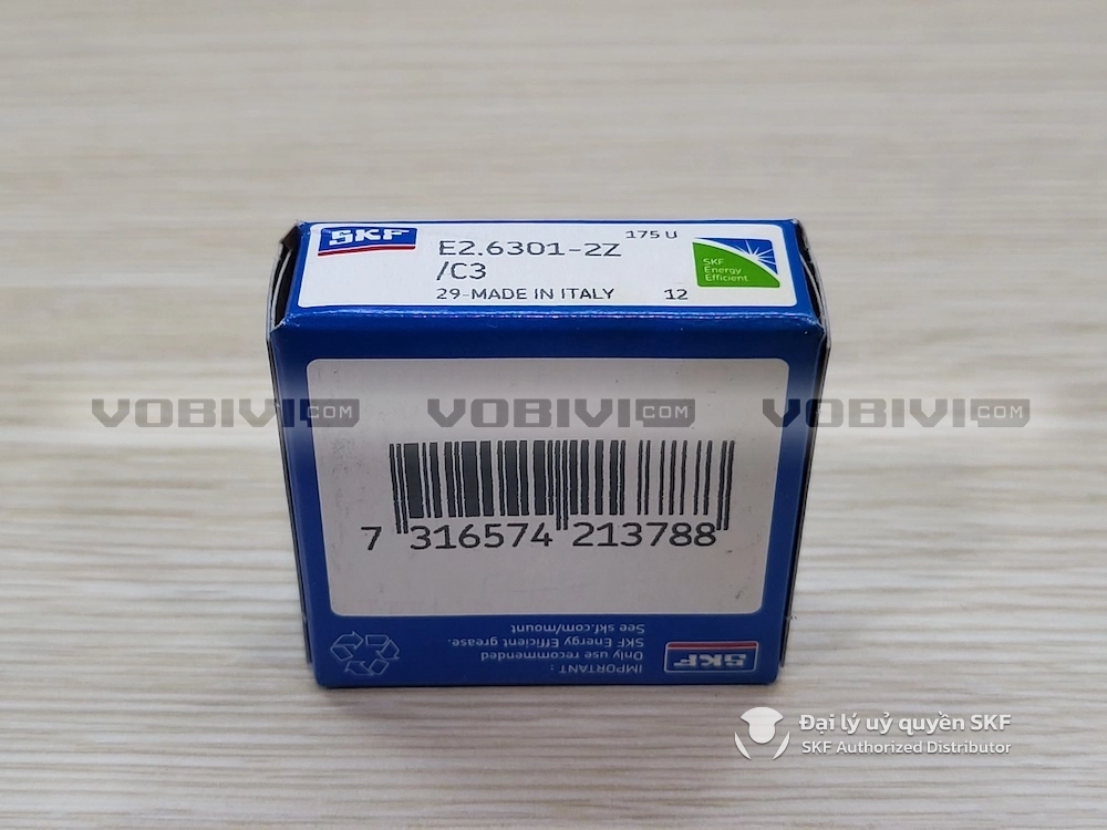 E2.6301-2Z/C3 chính hãng SKF