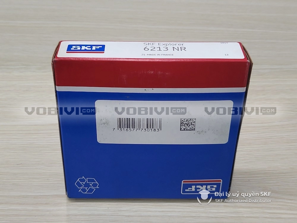 Vòng bi 6213 NR chính hãng SKF