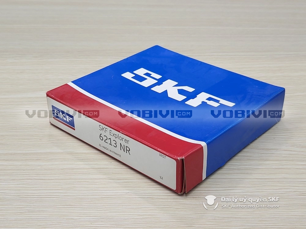 Vòng bi 6213 NR chính hãng SKF