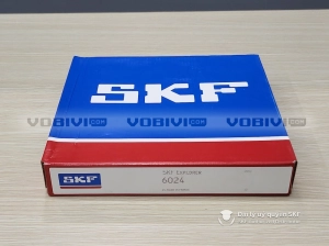 Vòng bi SKF 6024