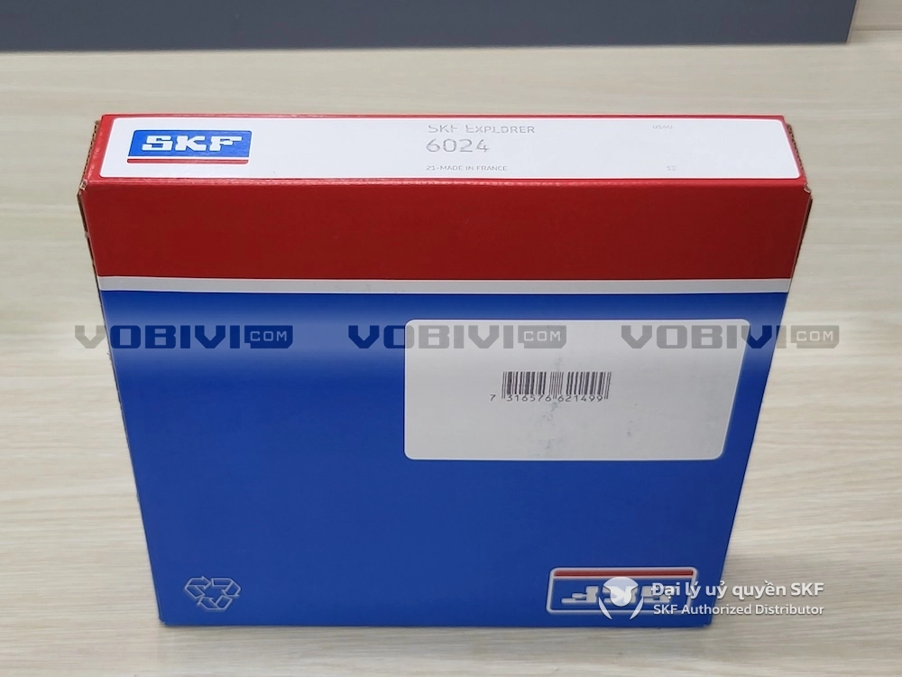 Vòng bi SKF 6024 chính hãng