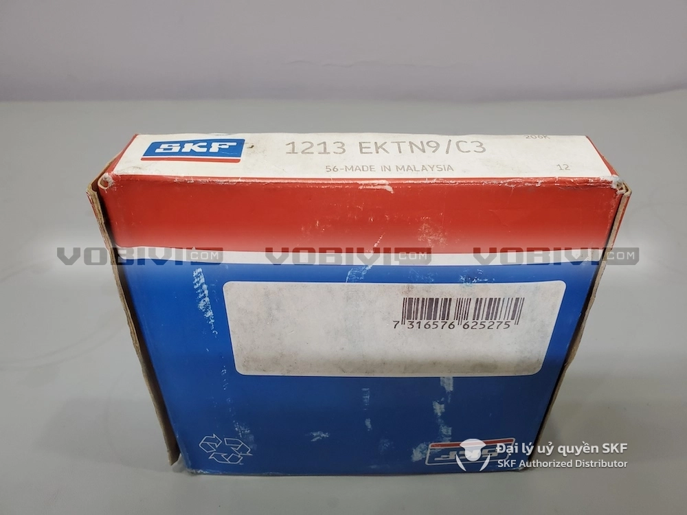 Vòng bi SKF 1213 EKTN9/C3 chính hãng