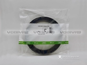 Phớt 145X190X16 HMSA10 RG