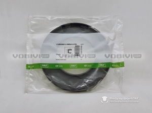 Phớt 110X200X13 HMSA10 RG