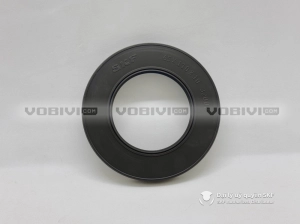 Phớt 65X110X10 HMSA10 RG