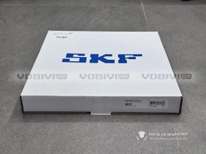 Phớt SKF 260X300X20 HMSA10 V