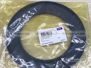 Phớt 150X225X15 HMSA10 RG