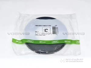 Phớt 70X150X12 HMSA10 RG