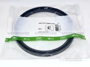 Phớt 180X210X15 HMSA10 RG