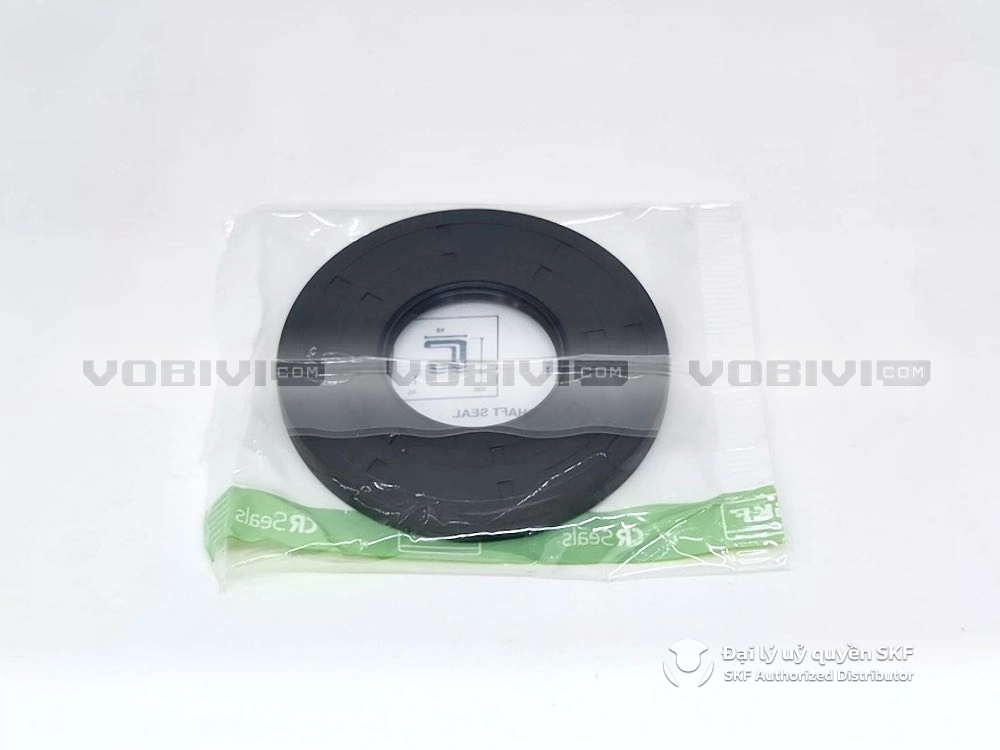 Phớt 45X100X10 HMSA10 RG